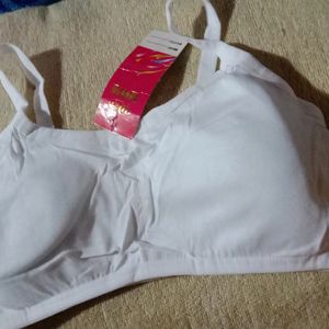 Women& Girls New Paded Bra