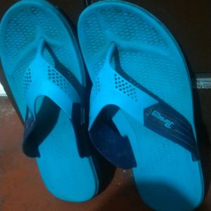 Cyan Colour Footwear