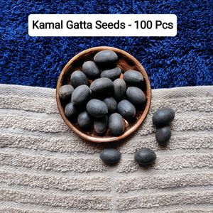 Original Kamal Gatta Lotus Seeds 100 Pieces