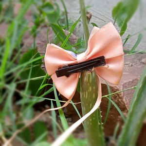 Beautiful Hair Clip