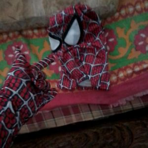 Spiderman Cosplay