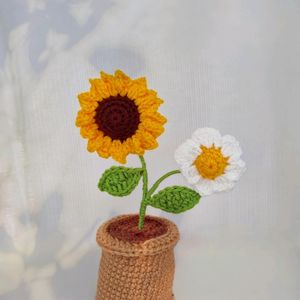 Crochet 🌻 & Daisy Flower Pot