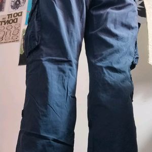 Pinteresty Cargo Pants/Jeans