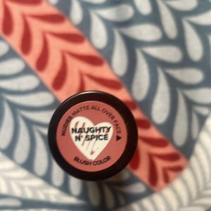 Nudestix Naughty N Spice Blush