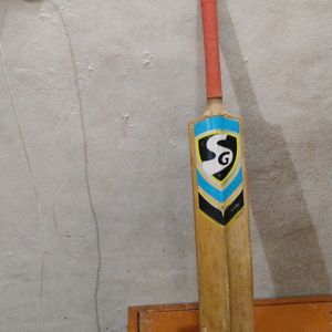 Best' Bat Of Playing Cricket And Fighting