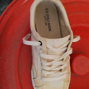 Us Polo Assn Shoes (UK 6)