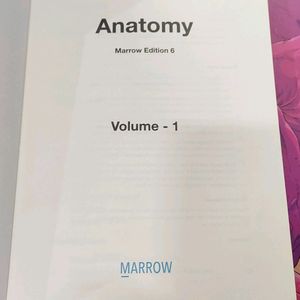 Anatomy Ed 6 Notes Of Marrow