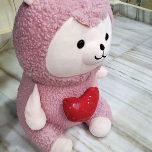 TEDDY 🧸 BEAR ITS NEW SELLING BECAUSE OF Storage