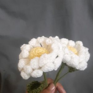 Crochet Large Daisy Flowers