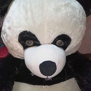 Panda Stuffed Toy New