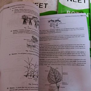 Neet Botany