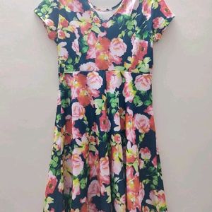 Floral Print Fit And Flare Dress