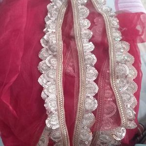 Sheer Net Saree