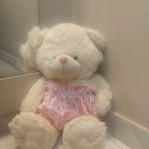 Cute Teddy Bear