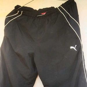 Shorts For Men