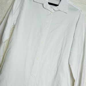 Plain Basic Shirt