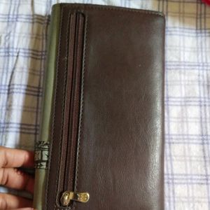 Baggit Wallet