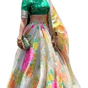 Organza Silk Lehenga