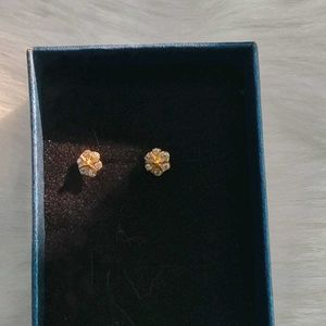 Gold Earrings For Women Nd Girls