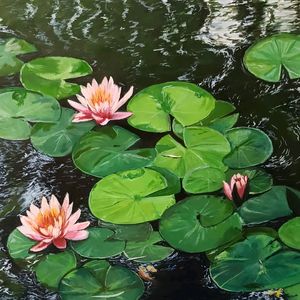 Waterlily Gouache Painting