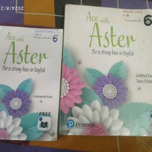 Class 6,7 English Aster Book Set Of 4