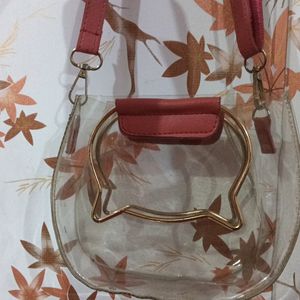 Transparent Sling Bag