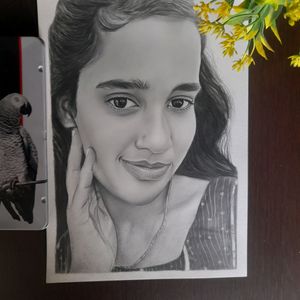 Pencil Drawing Portrait