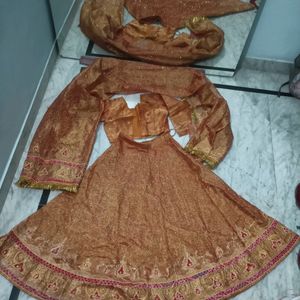 Fully Emroidered Lehnga Choli & Heavy Dupatta