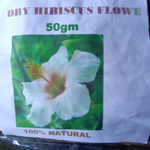 Dry Hibiscus Flower