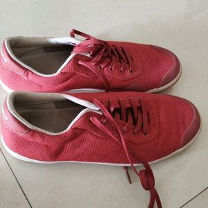 Badminton Shoes Not Used