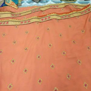 Beautiful coral saree