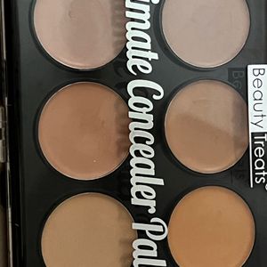 Ultimate Concealer palattee