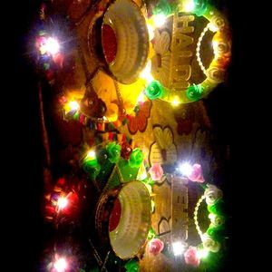 Haldi, Mehendi Plater With Lights