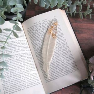 Feathers Book Mark Pack Of One