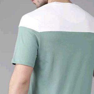 Men Green White Colourblocked Round Neck T-shirt