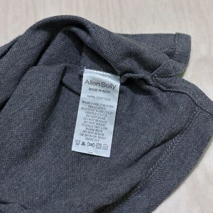 Allen Solly Men Large Grey T Shirt