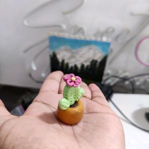 Mini Cactus Plant