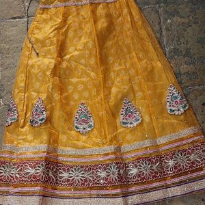 Net Ethnic Choli