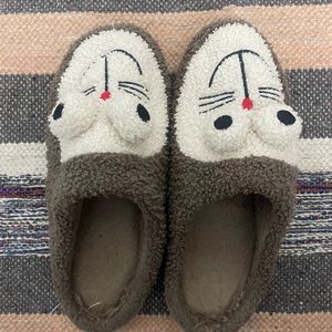 Winter Slides/slippers