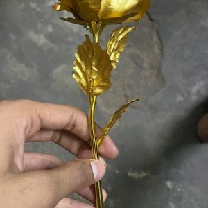 Gold Palted Rose