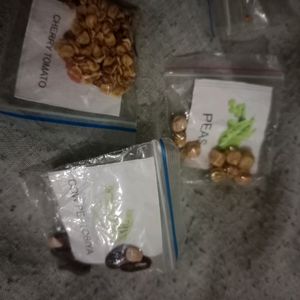 5 Vegetable Seeds