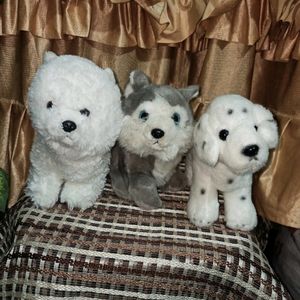 Combo Of 3 Cute Puppy Plushies