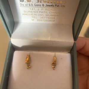 14kt Gold Earings