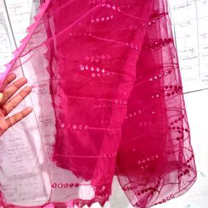 Rani Pink Net Mirror Work Rajasthani Dupatta