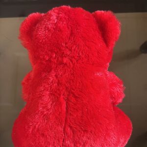 Red Teddy