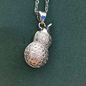 Western wear Lucky Charm Carrier pendant Necklace