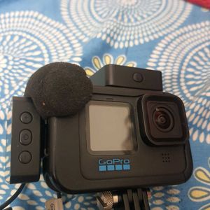 GoPro With Mic , Mod And Memory Card