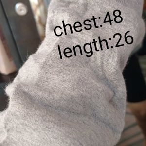 Hoodie(Pick Any@500)