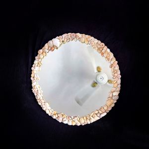 Round Shaped Sea Shell Mirror