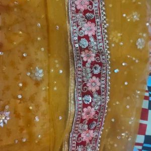 Women's Embroidered Net Dupatta.